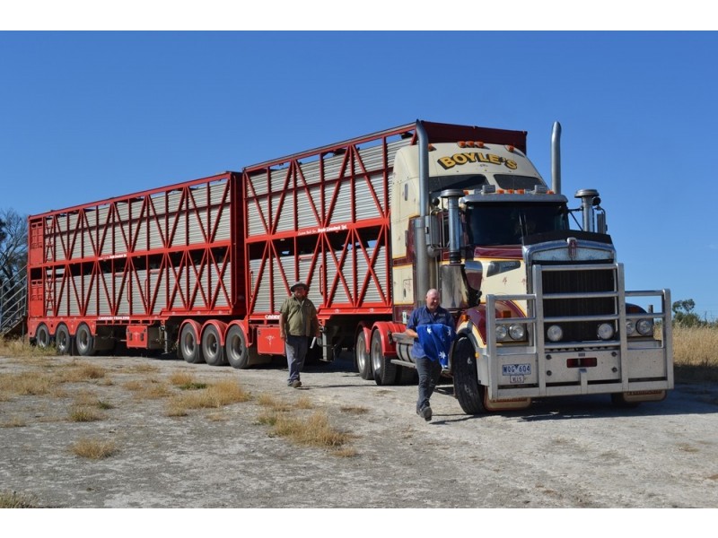 235 “Box Hill” Jabe Williams Road, Lucindale SA 5272