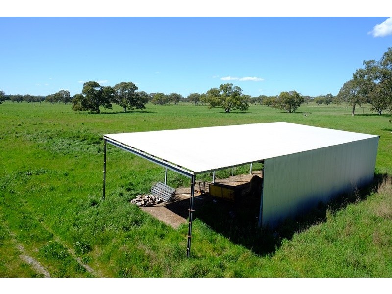 248 Cockys Lane “Carters”, Lucindale SA 5272