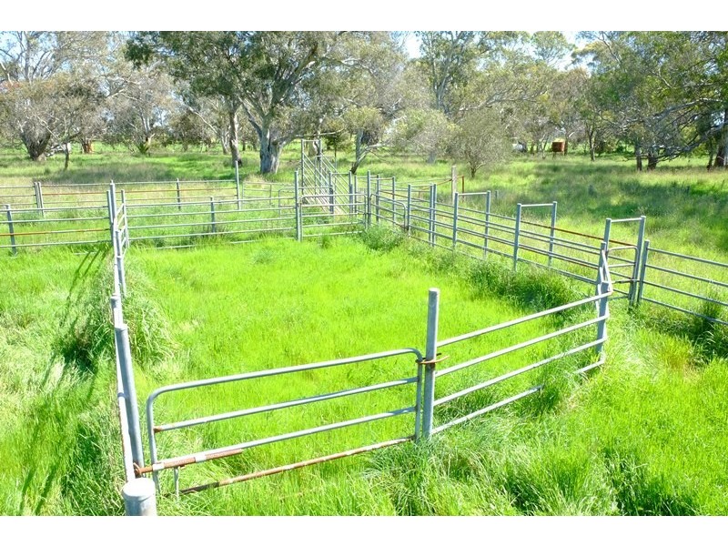248 Cockys Lane “Carters”, Lucindale SA 5272