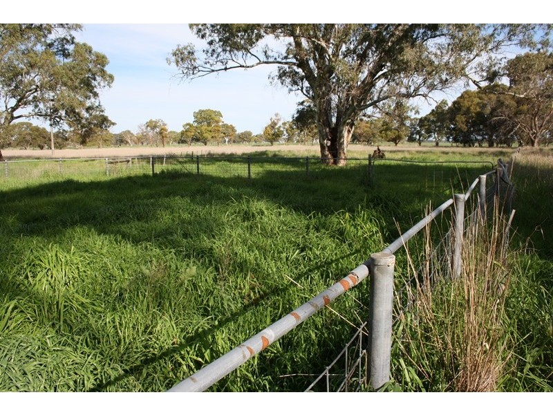 248 Cockys Lane “Carters”, Lucindale SA 5272