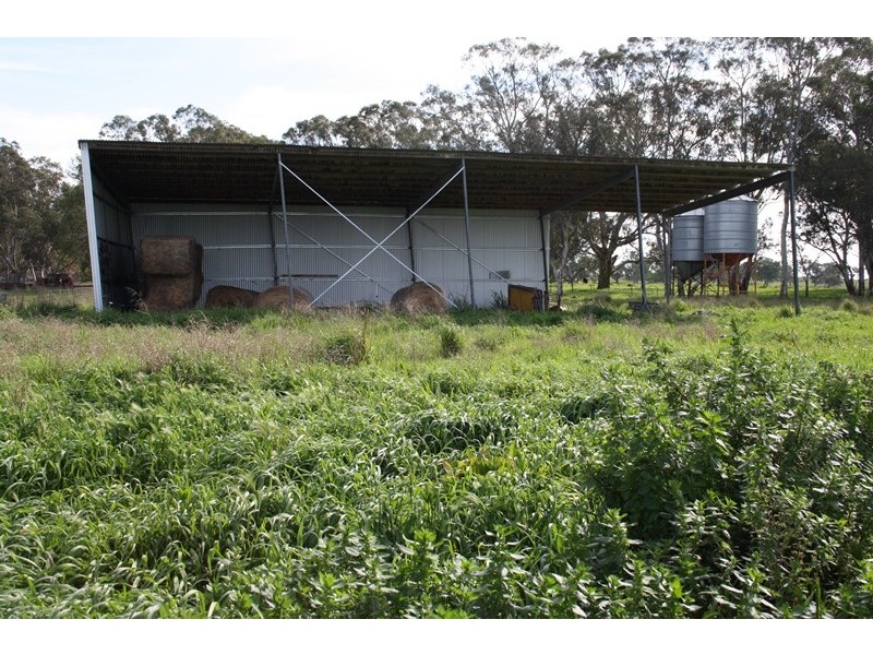 248 Cockys Lane “Carters”, Lucindale SA 5272