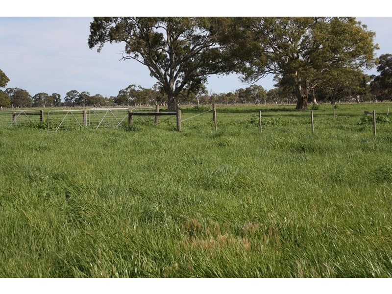 248 Cockys Lane “Carters”, Lucindale SA 5272