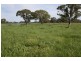 248 Cockys Lane “Carters”, Lucindale SA 5272