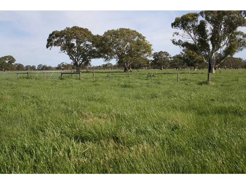 248 Cockys Lane “Carters”, Lucindale SA 5272