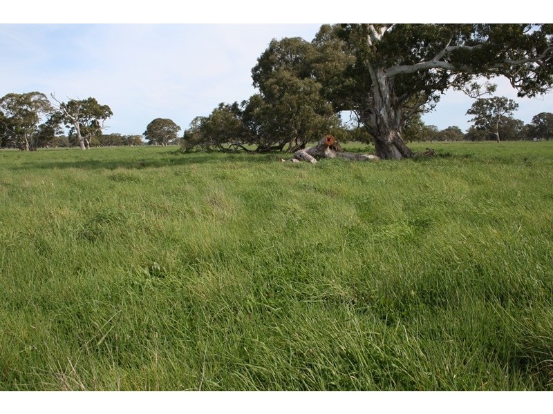 248 Cockys Lane “Carters”, Lucindale SA 5272