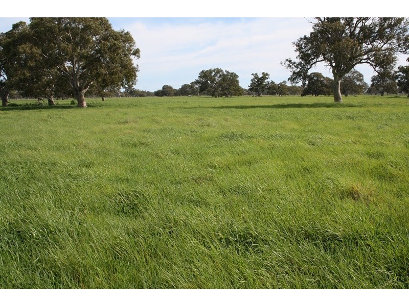 248 Cockys Lane “Carters”, Lucindale SA 5272