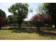 1736 Edenhope-Penola Road, Edenhope VIC 3318