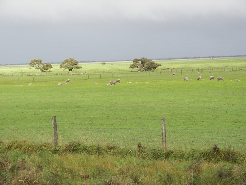 0 Bowaka Road, Reedy Creek SA 5275