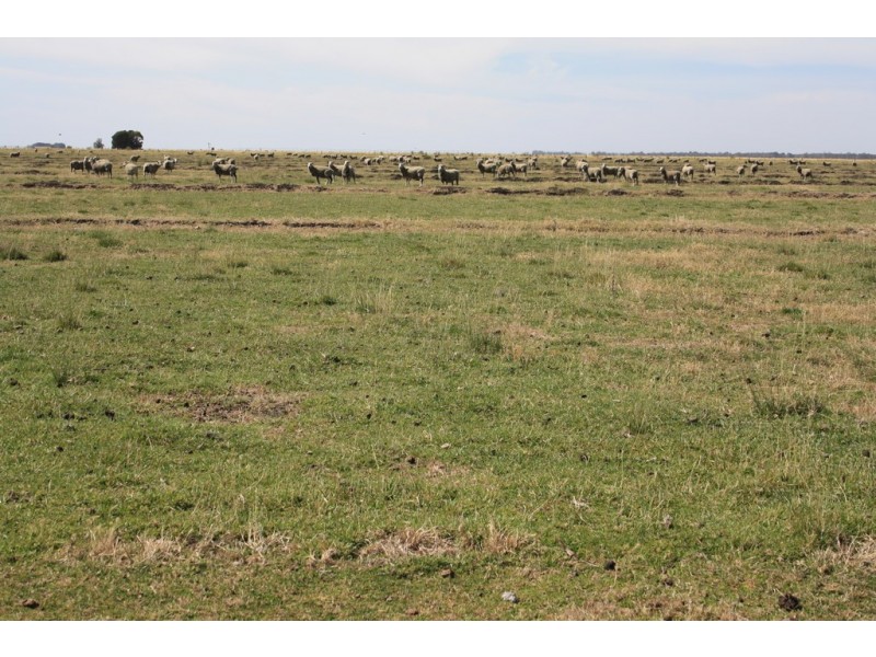 0 Bowaka Road, Reedy Creek SA 5275