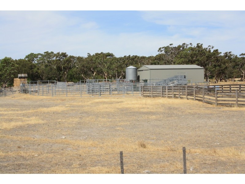 0 Bowaka Road, Reedy Creek SA 5275