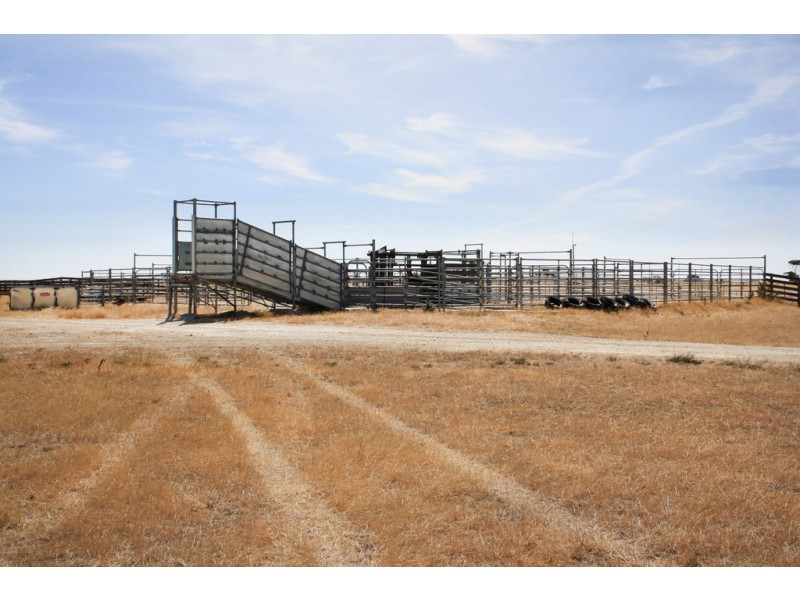 0 Bowaka Road, Reedy Creek SA 5275