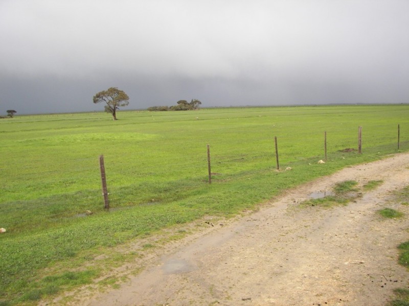 0 Bowaka Road, Reedy Creek SA 5275