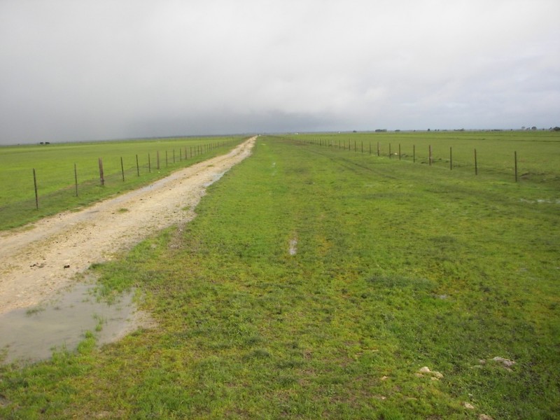 0 Bowaka Road, Reedy Creek SA 5275