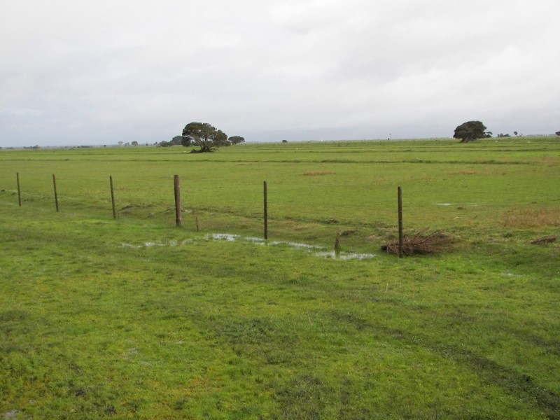 0 Bowaka Road, Reedy Creek SA 5275