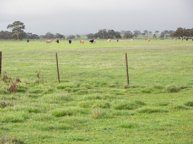 0 Bowaka Road, Reedy Creek SA 5275