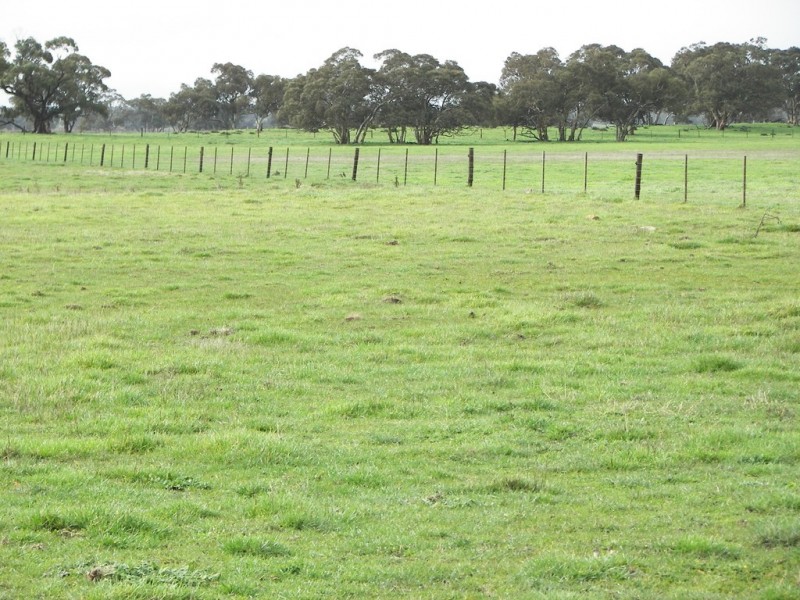 0 Bowaka Road, Reedy Creek SA 5275