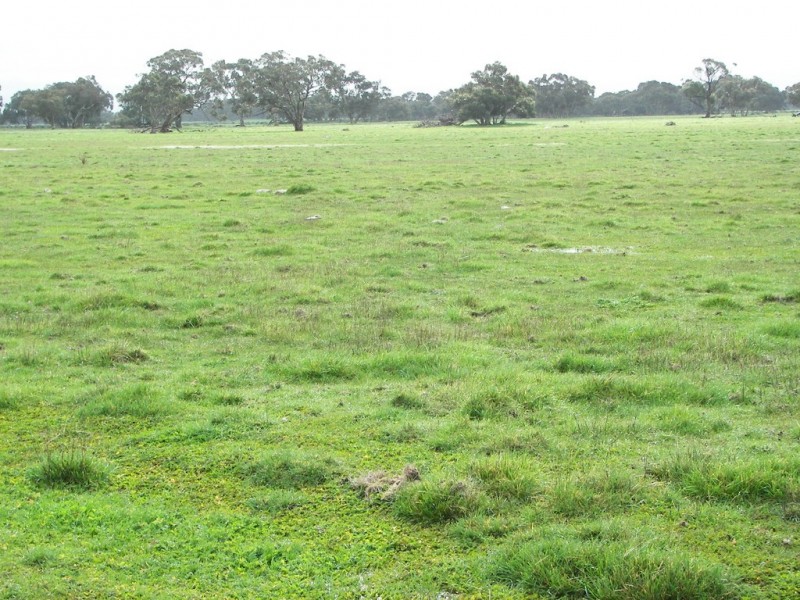 0 Bowaka Road, Reedy Creek SA 5275