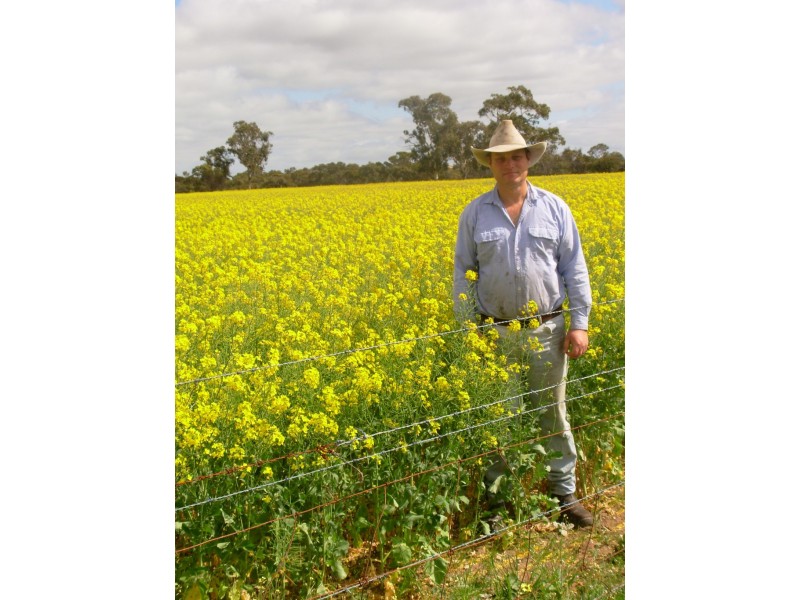 0 “Bundarra Downs” and “Bullocky Wells”, Culburra SA 5261