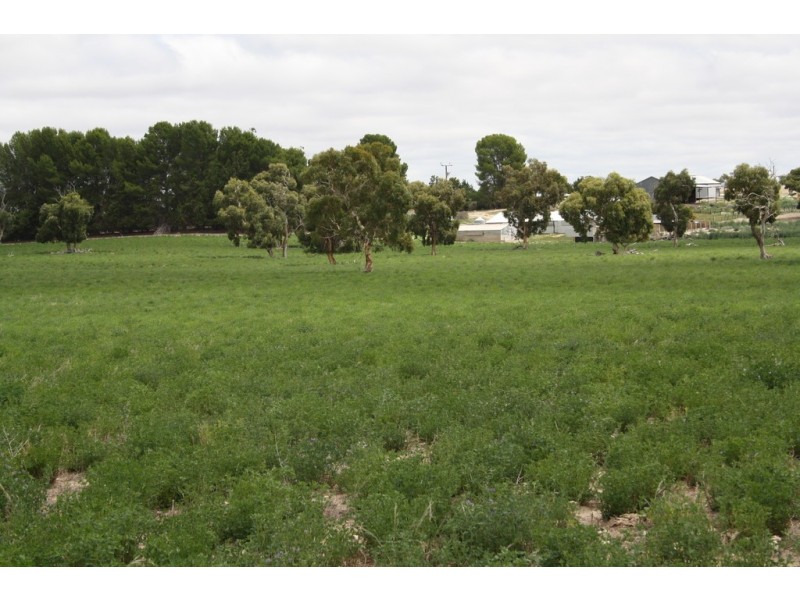 0 “Bundarra Downs” and “Bullocky Wells”, Culburra SA 5261
