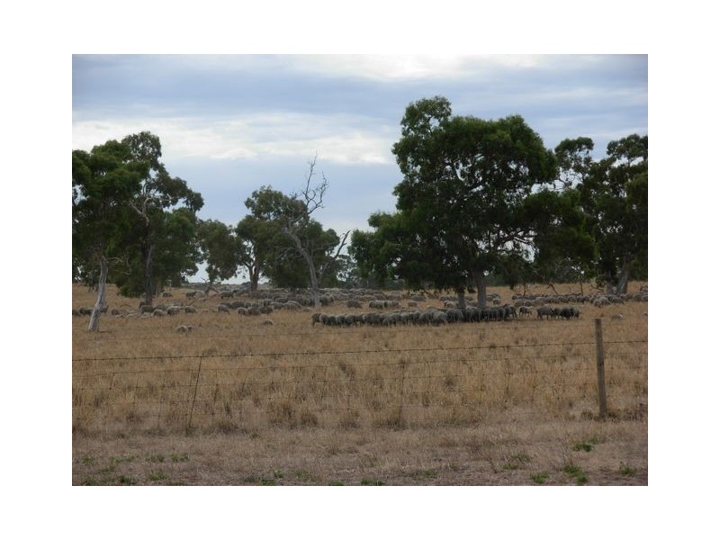 0 “Bundarra Downs” and “Bullocky Wells”, Culburra SA 5261