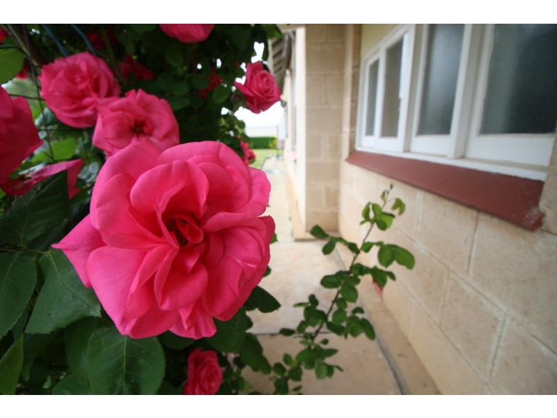 44 Sandstone Avenue, Naracoorte SA 5271