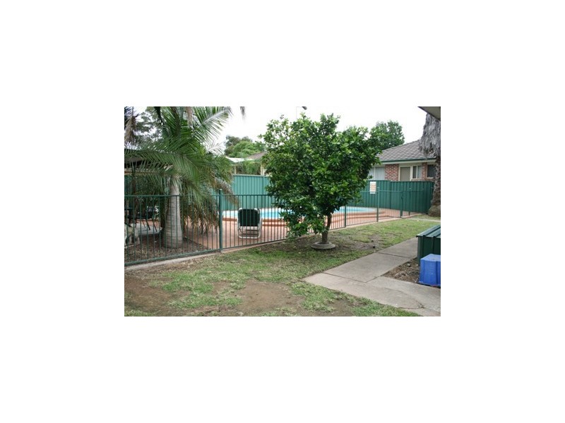 51 Pecks Road, North Richmond NSW 2754