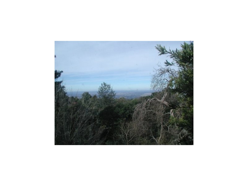 15 Rain Ridge Road, Kurrajong Heights NSW 2758