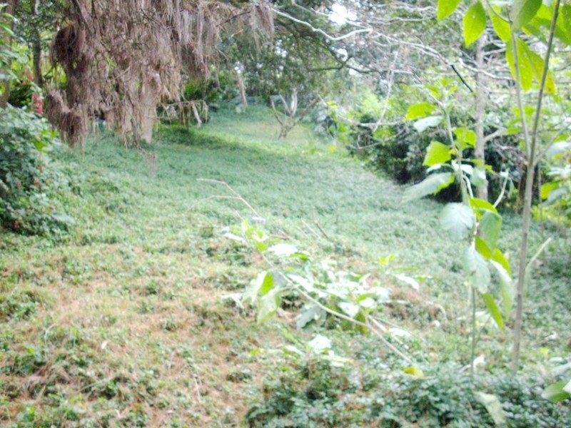 Kurrajong Heights NSW 2758