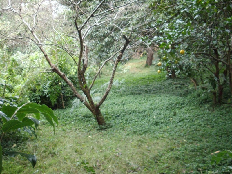 Kurrajong Heights NSW 2758