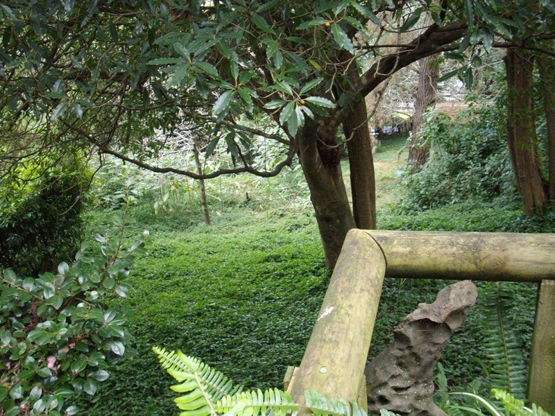 Kurrajong Heights NSW 2758