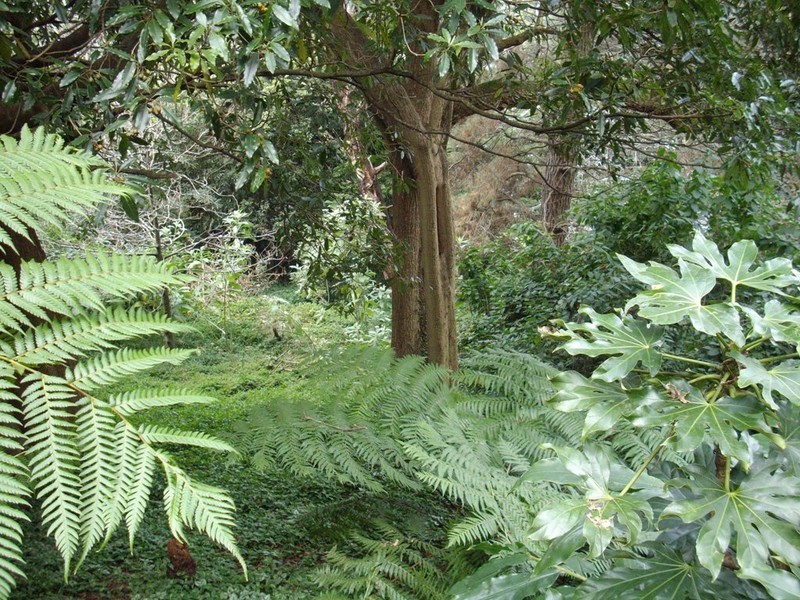 Kurrajong Heights NSW 2758