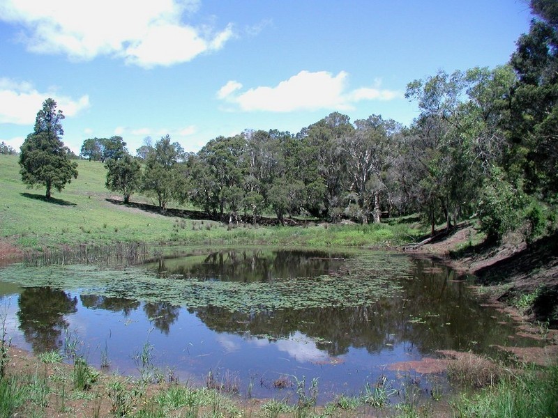 50 Single Ridge Road, Kurmond NSW 2757