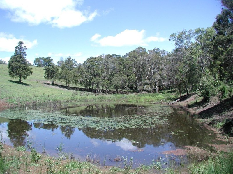 50 Single Ridge Road, Kurmond NSW 2757