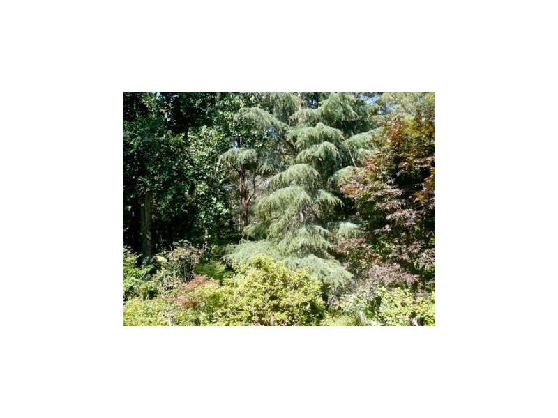 61 Warks Hill Road, Kurrajong Heights NSW 2758
