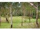 Lower Portland NSW 2756