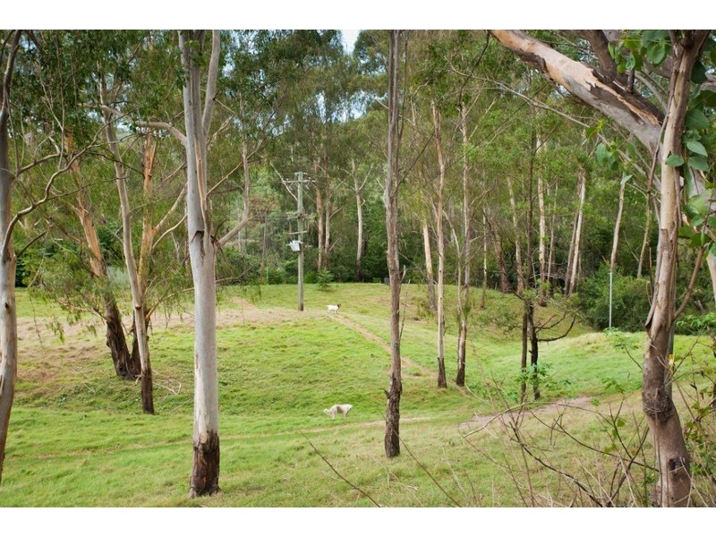 Lower Portland NSW 2756
