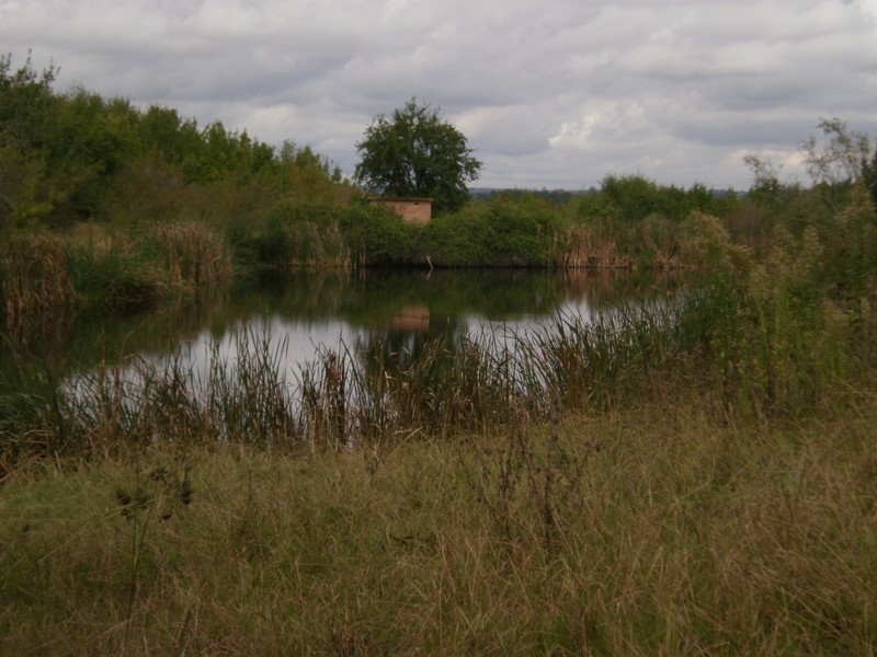 Wilberforce NSW 2756