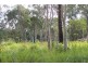 195 Arakoon Road, South West Rocks NSW 2431