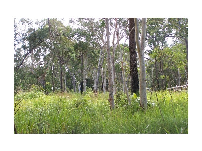 195 Arakoon Road, South West Rocks NSW 2431