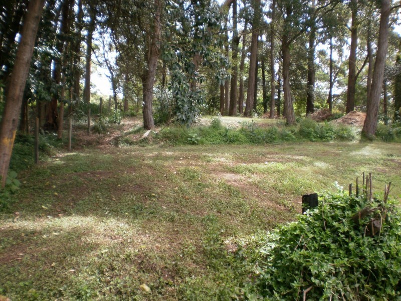 Kurrajong Heights NSW 2758