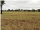 87 Bonnie Doon Road, Capella QLD 4723