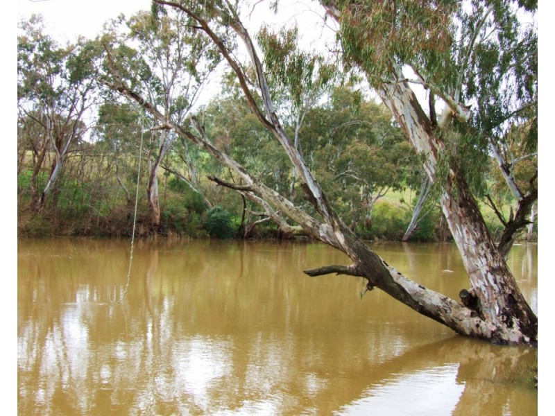 Lot 6 Chudleigh Drive, Emerald QLD 4720