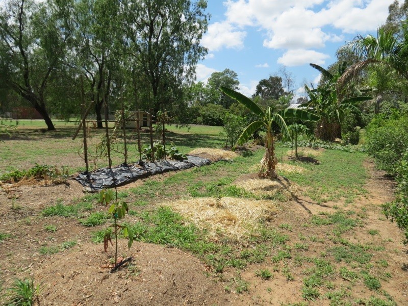 41 SLACK DRIVE, Emerald QLD 4720