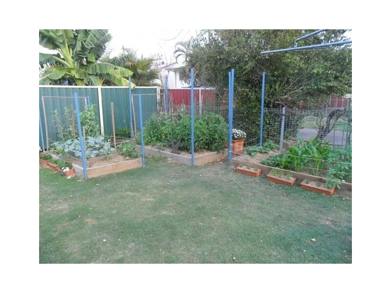14  Jacqueline Drive, Emerald QLD 4720