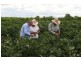 Mackenzie QLD 4702