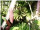 Emerald QLD 4720