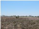 Capella QLD 4723