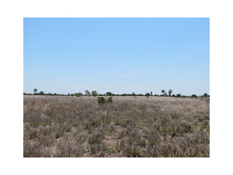 Capella QLD 4723