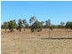 Lot 1 Donohoe Road, Emerald QLD 4720