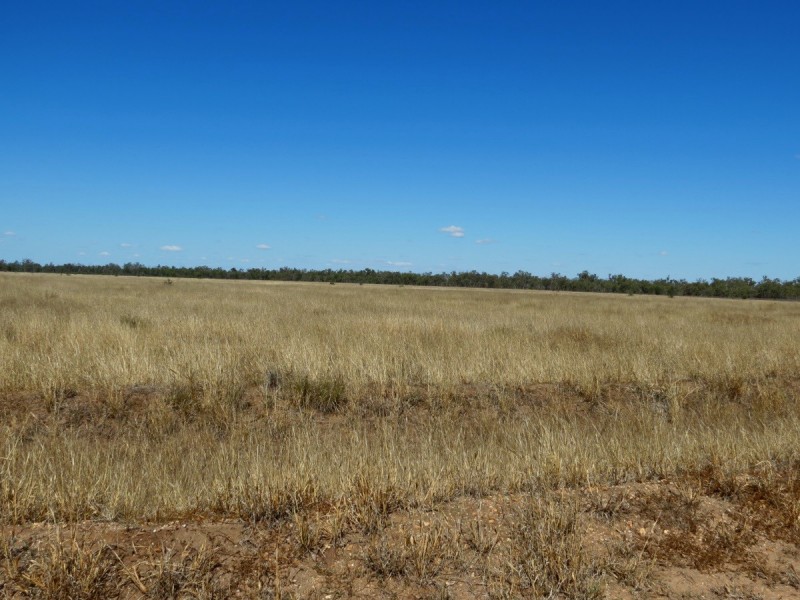 Lot 3 Donohoe Road, Emerald QLD 4720